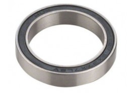 Z Bearings ZB6800 2RS