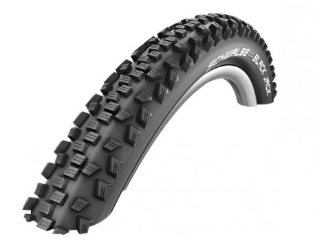 Schwalbe One 700 x 23C