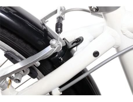 BBB Slimguard BFD-22