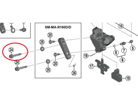 Shimano Vis de fixation d'étrier C pour une épaisseur de support arrière de 30 mm