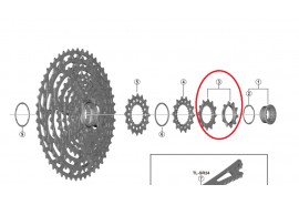 Shimano Pignon CS-M8100-M9101-M9100 10D B et 12D D