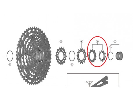 Shimano Pignon CS-M9100 10D B et 12D D