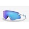 Oakley Lunettes Sutro Troy Lee Designs Series