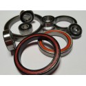 Z Bearings Roulement ZB ACB60H8