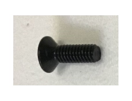 Ridley  BB Cover bolt - For FRPBBRRID001