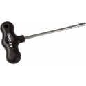 DT SWISS CLE A RAYON T MODELE TORX NOIR