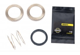 Mavic Kit ID360 2 Retchets 40T + MTB Spring
