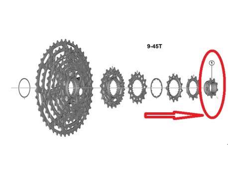 Shimano Ecrou et Pignon 9T A CS-M9200-12
