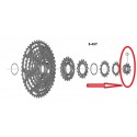 Shimano Ecrou et Pignon 9T A CS-M9200-12