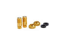 BBB BTI-165 CoreCap Valve Caps GOLD