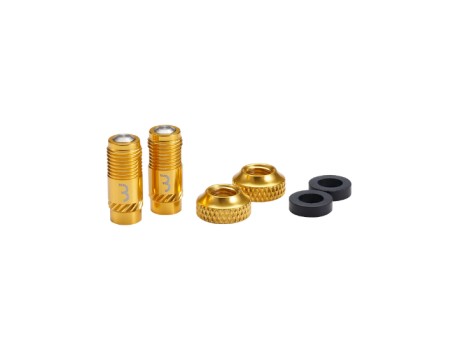 BBB BTI-165 CoreCap Valve Caps GOLD