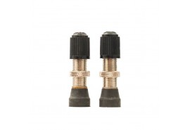 Stan's Valve Stem (Pair) - Universal, Schrader, 10mm Base - 32mm