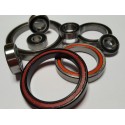 Z Bearings Roulement ZB ACB42518H7