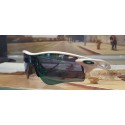 Lunette Oakley Radar EV Path